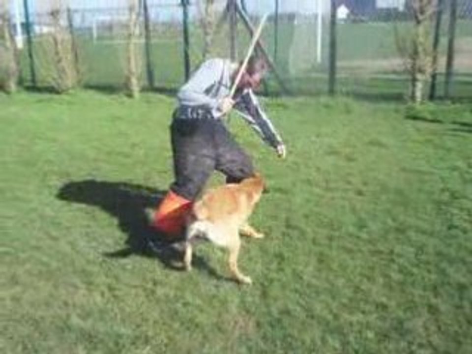 Cerdan attaque de face sur mika