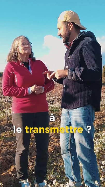 LE BANDOL, C'EST DE L'ART !