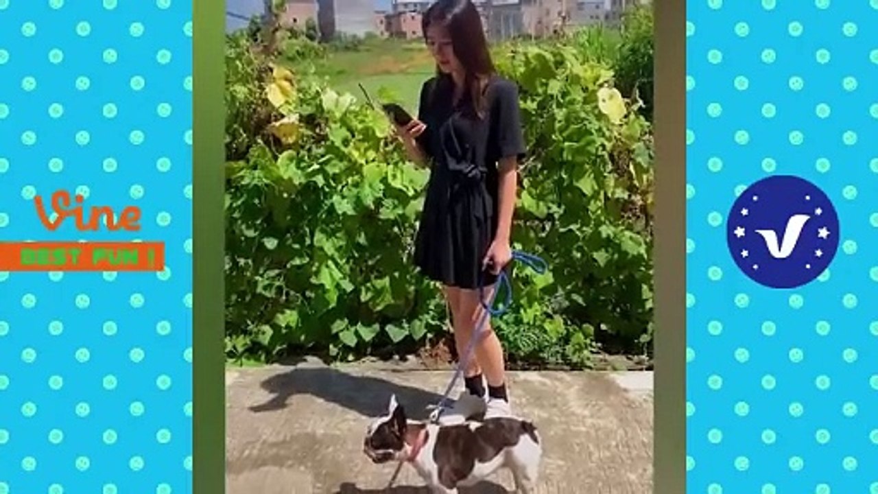 Funny _ Hilarious Video People's Happy Life #37  Try Not To Laugh Funny Videos 2024