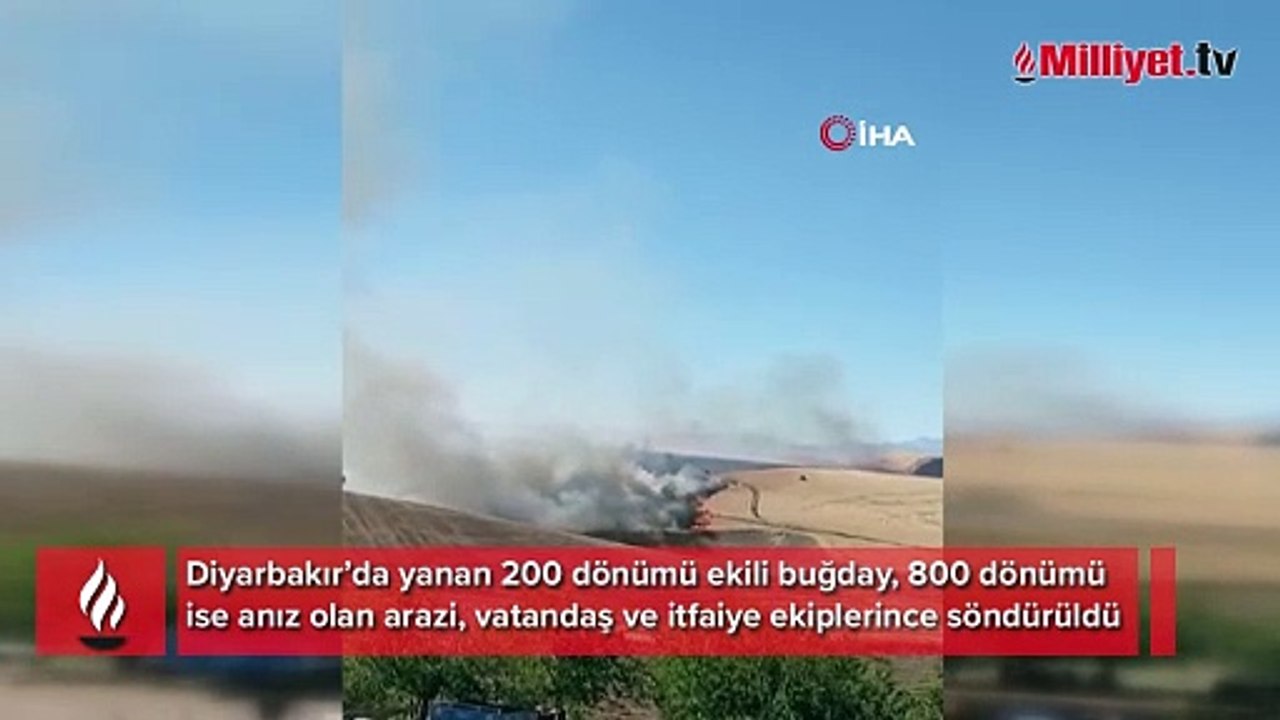 Diyarbakır'da tam bin dönüm arazi alev alev yandı