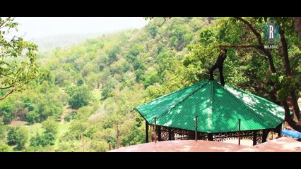 Aa More Rani - आ मोरे रानी _ Raju Diwan, Reema Shing _ MOHINI _ CG Song _ छत्तीसगढ़ी Song
