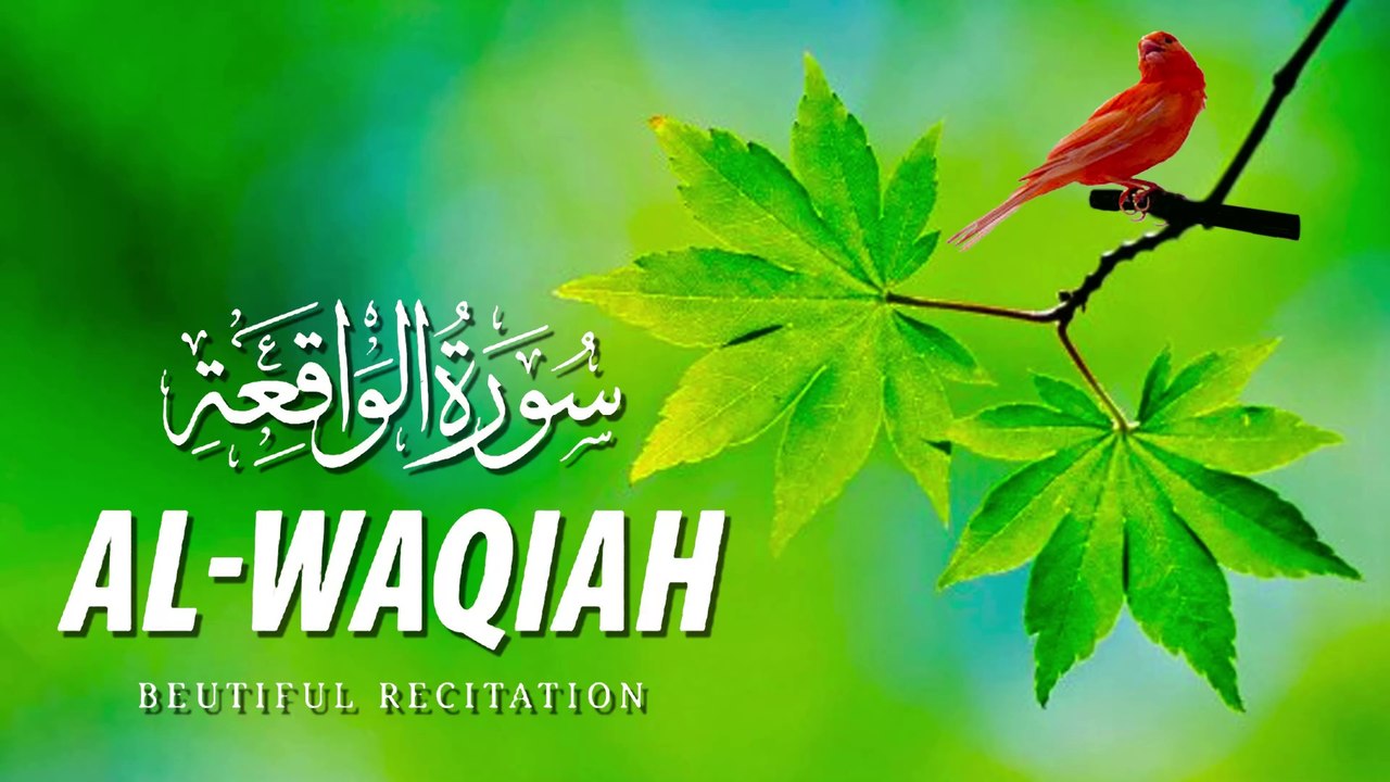 Surah Waqiah (سورة الواقعة)  Beautiful Tilawat | Quran Recitation | 56 Surah