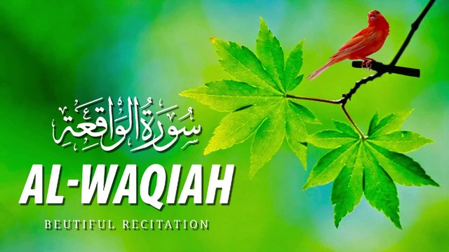 Surah Waqiah (سورة الواقعة) Beautiful Tilawat | Quran Recitation | 56 Surah