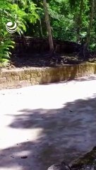 Descubren 26 entierros de antiguos mayas entre Calakmul y Escárcega
