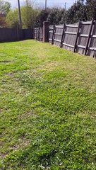 Princess chases birds