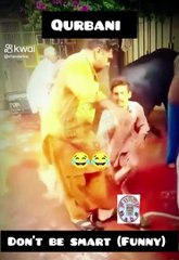 DON'T BE SMART (FUNNY)