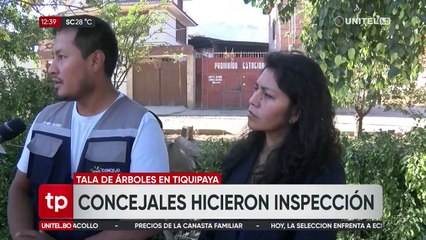 Concejales recorrieron la zona donde se talaron más de 50 árboles