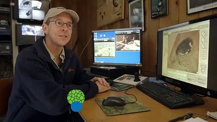 A Significant Hatch of Condor Chicks Excites Zookeepers!
