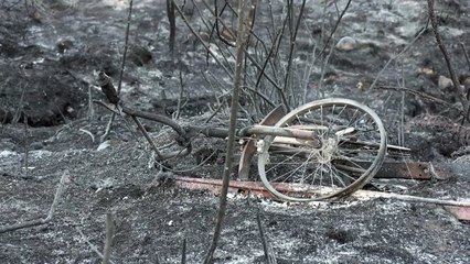 اليونان والأردن يشاركان في إهماد الحرائق في قبرص