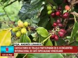 Caficultores del estado Trujillo participarán en el III Encuentro Internacional de Café