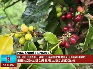 Caficultores del estado Trujillo participarán en el III Encuentro Internacional de Café