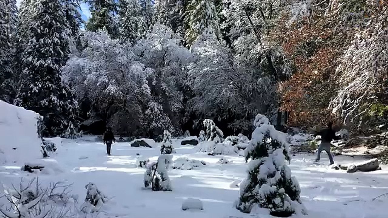 Natural beauty
