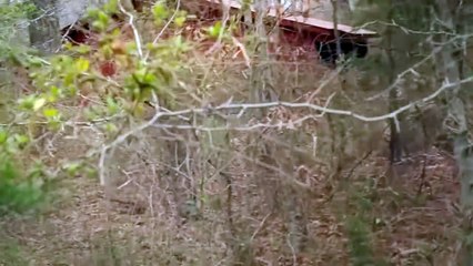 THE HOOT OWL   Horror, Old-School Slasher    Jason Rader, Jason Von Godi