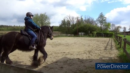 Début appuyers trot 22/04/24