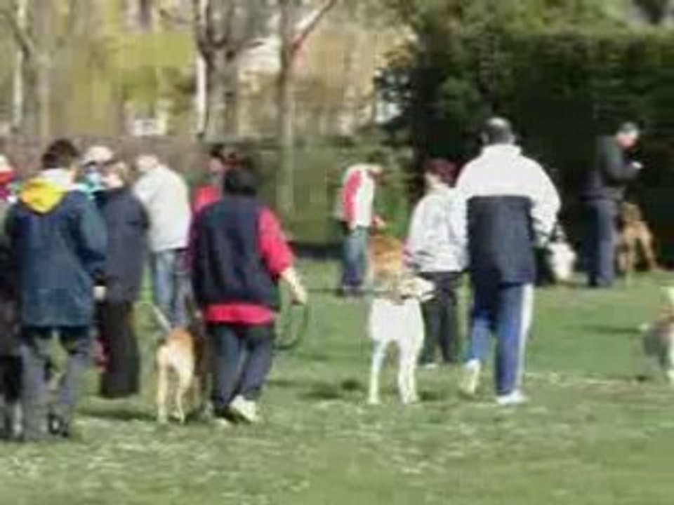 Groupe des confirmer