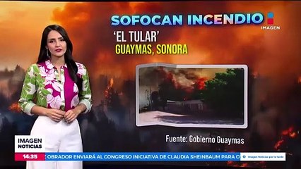 135 millones de personas han muerto por la contaminación en el aire
