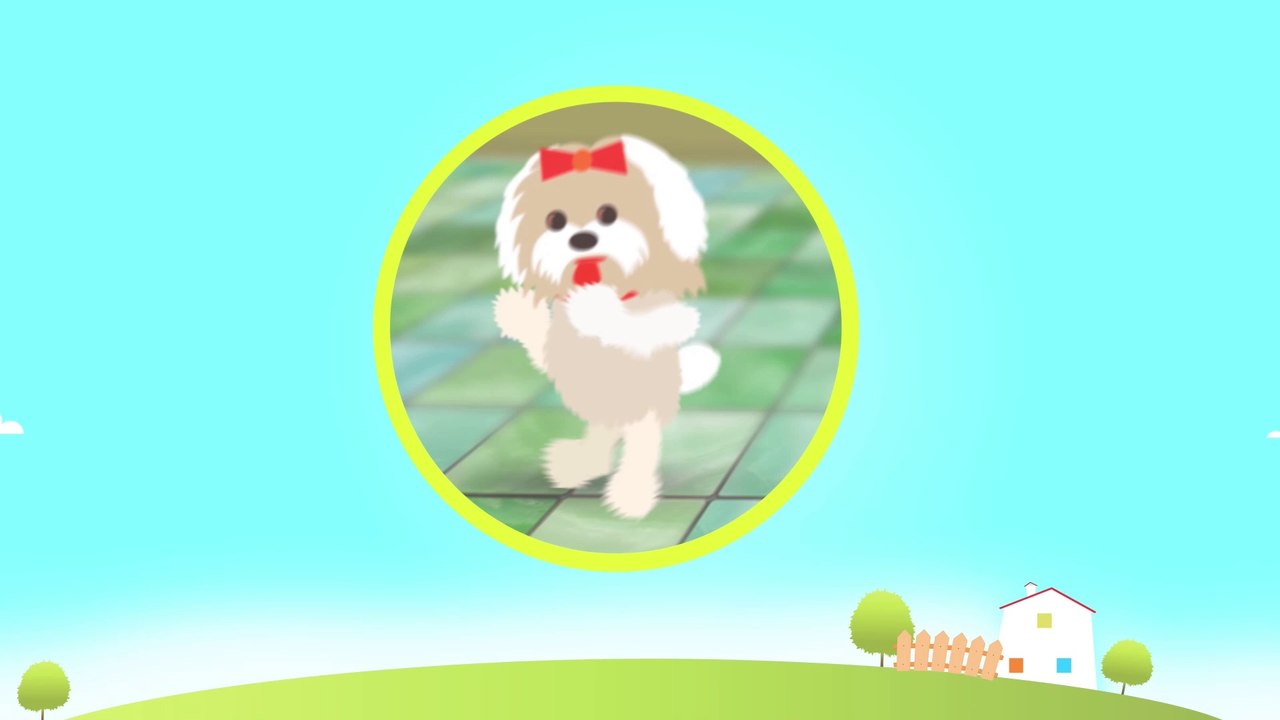 Maksimove avanture - EPIZODA 20 - SVADJA (Maximove avanture Cartoons) - EPISODE 20 - FIGHT