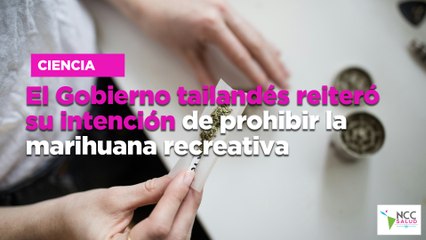 El Gobierno tailandés reiteró su intención de prohibir la marihuana recreativa