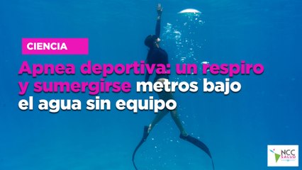Ap­nea de­por­ti­va: un res­pi­ro y su­mer­gir­se me­tros bajo el agua sin equi­po