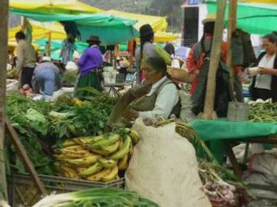 FRUITS ET LEGUMES DE CUENCA