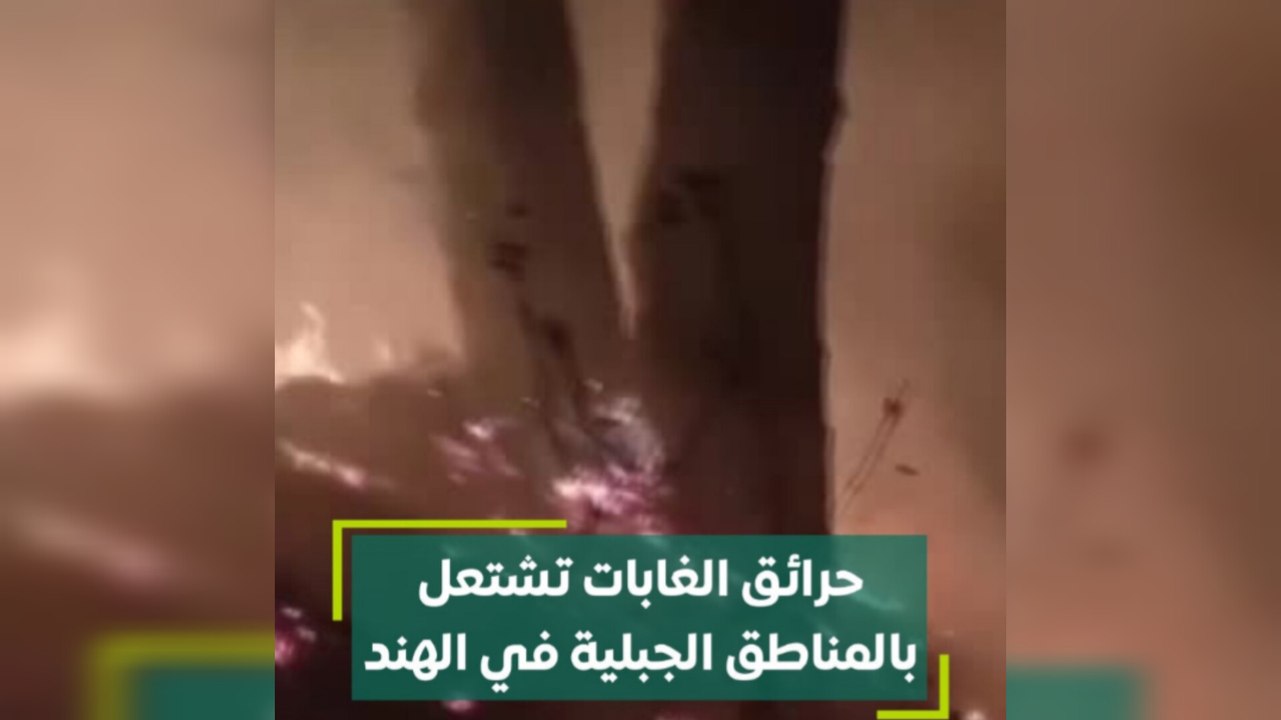 حرائق الغابات تشتعل بالمناطق الجبلية في الهند