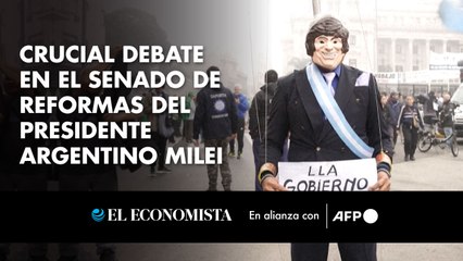 Crucial debate en el Senado de reformas del presidente argentino Milei