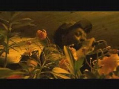 Murray Man backed by Dub Akom band - High Grade 14/08/07