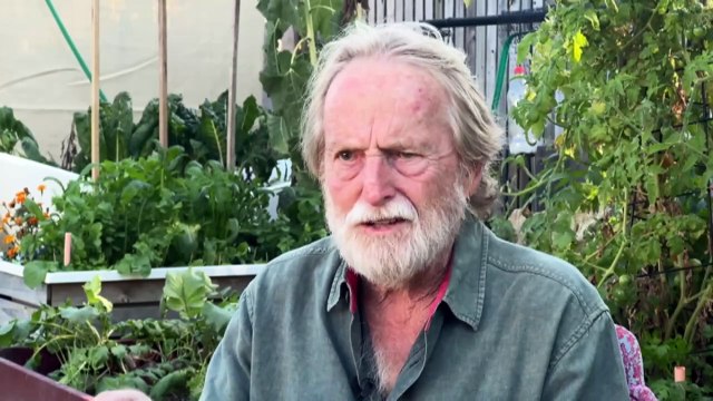 Queensland budget is full of treats, but is it enough to entice voters?