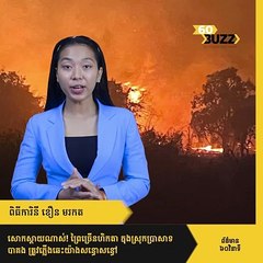 ​សោកស្តាយណាស់! ព្រៃច្រើនហិកតា ក្នុង​​ស្រុកប្រាសាទបាគង ត្រូវភ្លើងឆេះយ៉ាងសន្ធោសន្ធៅ​