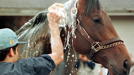 Why it can cost millions to win America's biggest horse race