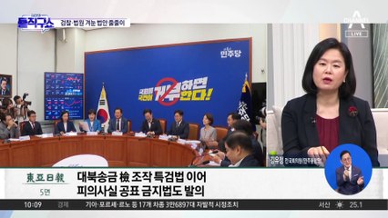 민주, ‘검찰 겨냥’ 법안 무더기 발의