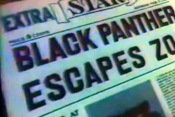 Sylvester and Tweety 1976 Sylvester and Tweety 1976 E033 Tree For Two