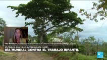 Pilar Rodríguez: 'El trabajo infantil es causa y consecuencia de la desigualdad estructural'