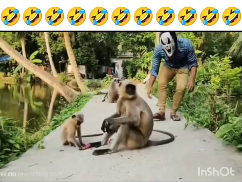 Funny  