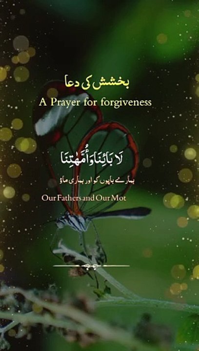 Islamic zone
