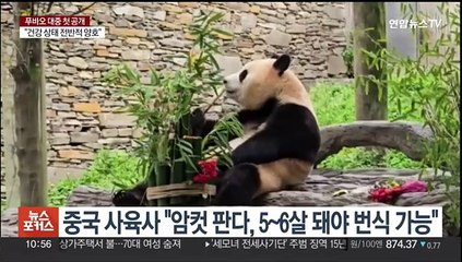 [뉴스포커스] 두 달 만에 공개된 푸바오…BTS 맏형 진 '아미' 품으로