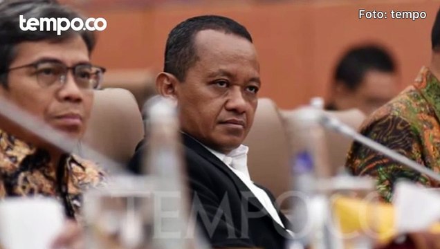 Belum Ada Investor Asing Masuk IKN, Presiden Jokowi Dulu Sebut Ada Ratusan Investor yang Antre