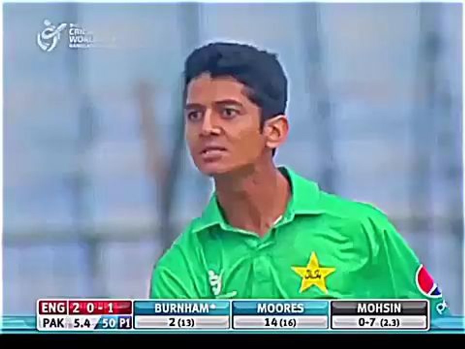 cricket 