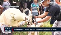 Sidak ke Pasar Hewan, Petugas Pastikan Hewan Kurban Sehat