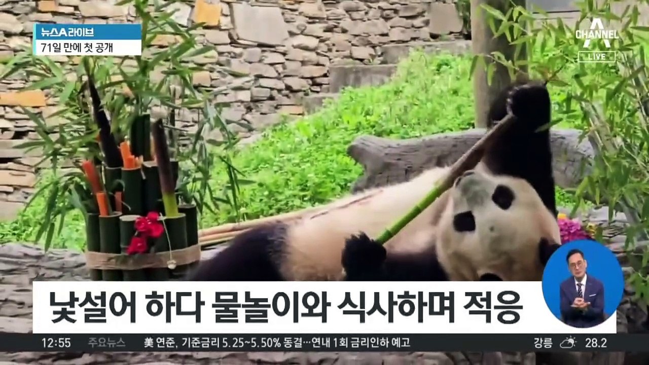 ‘두근두근’ 대륙 홀린 푸바오…이례적 생중계