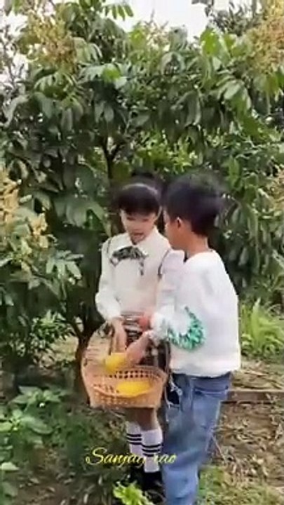 funny  video viral popular reels reels comedy fact (3)