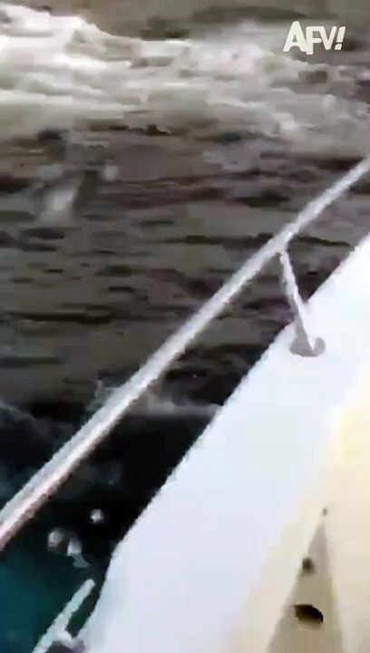 #fish