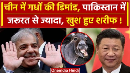 Pakistan गधे बेचकर China से करेगा मोटी कमाई, जानिए क्यों हो रही ये Deal |Donkey Deal| वनइंडिया हिंदी