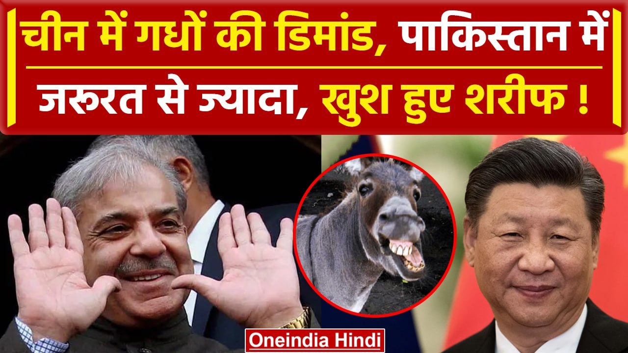 Pakistan गधे बेचकर China से करेगा मोटी कमाई, जानिए क्यों हो रही ये Deal |Donkey Deal| वनइंडिया हिंदी