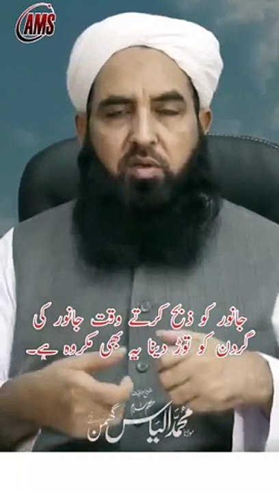 VID-20240611-WA0000