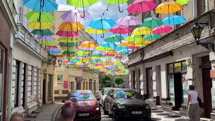 Gazeta Lubuska. Wschowskie parasolki