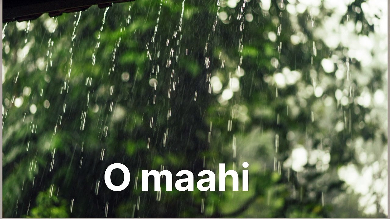 O mahi