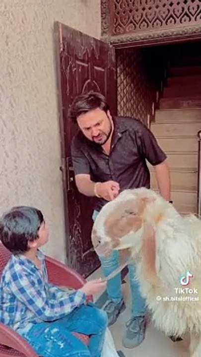 شیخان دا مال
