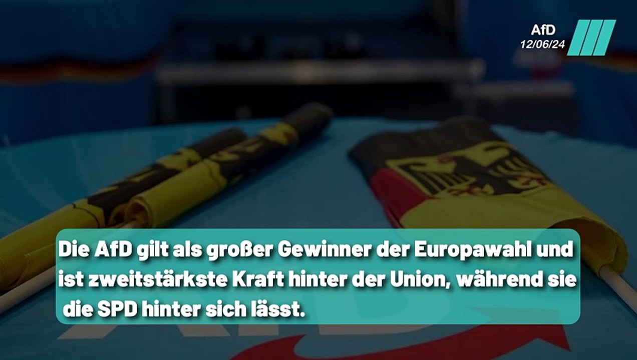 Die AfD: Der große Gewinner der Europawahl