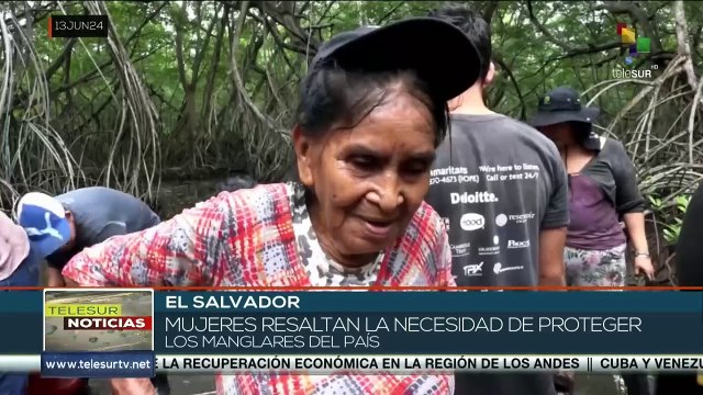 En El Salvador, los ambientalistas se unen para proteger los manglares